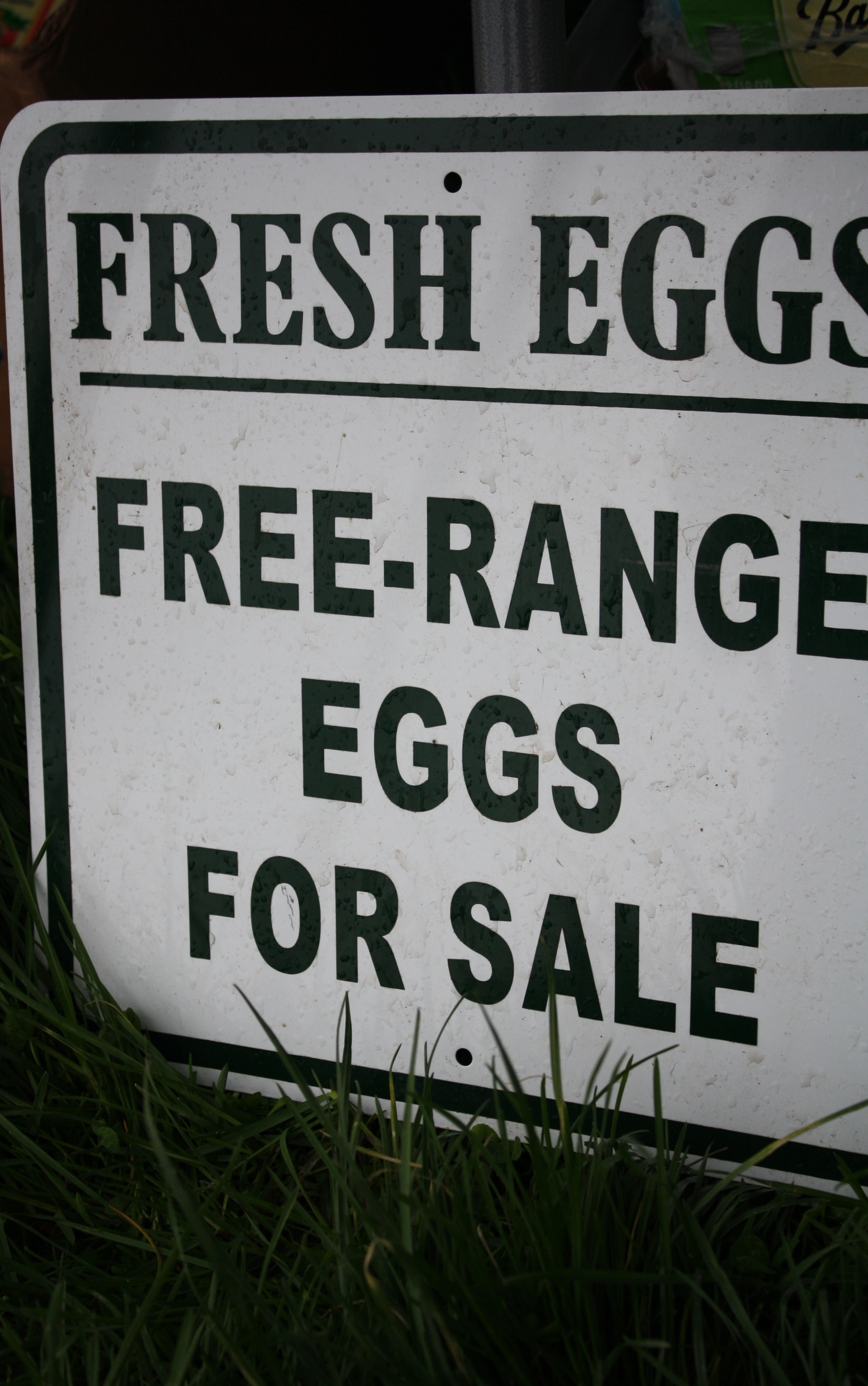 Fresh eggs sign
